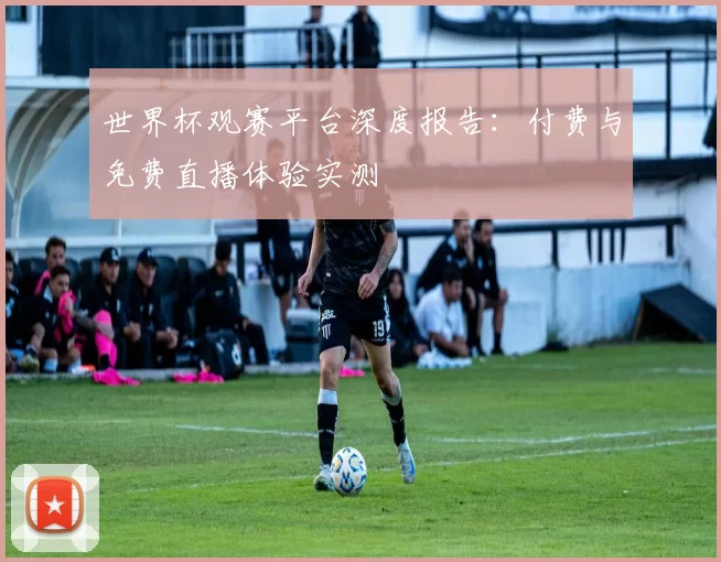 世界杯观赛平台深度报告：付费与免费直播体验实测