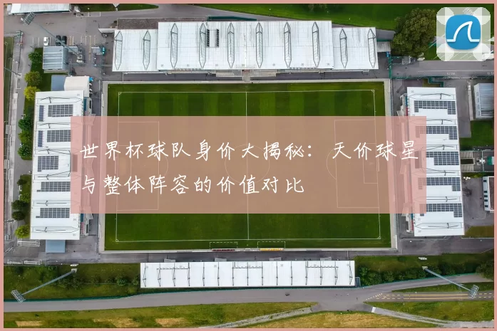 世界杯球队身价大揭秘：天价球星与整体阵容的价值对比