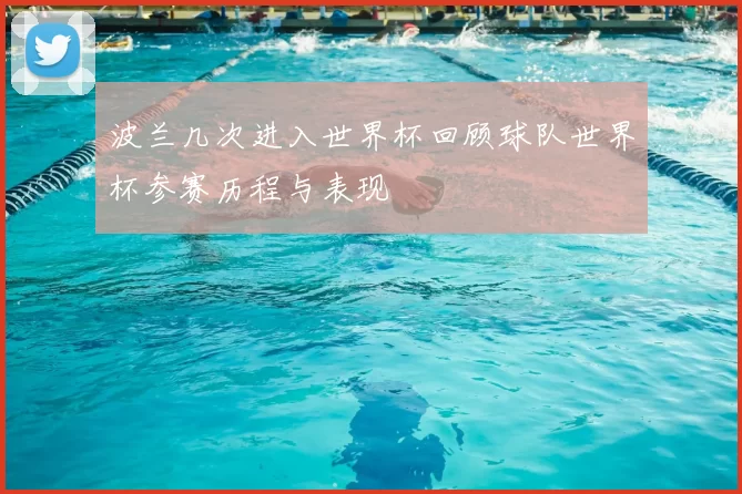 波兰几次进入世界杯回顾球队世界杯参赛历程与表现