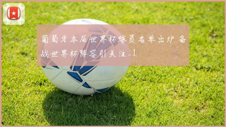 葡萄牙本届世界杯球员名单出炉 备战世界杯阵容引关注_1