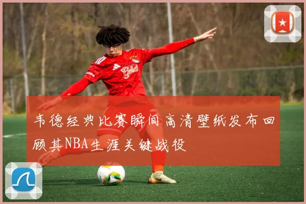 韦德经典比赛瞬间高清壁纸发布回顾其NBA生涯关键战役