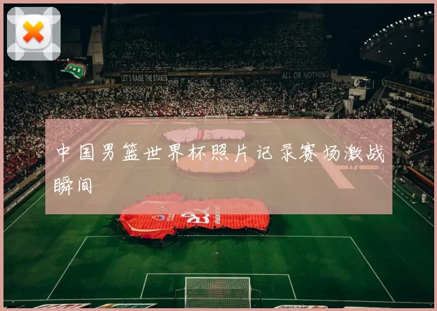 中国男篮世界杯照片记录赛场激战瞬间