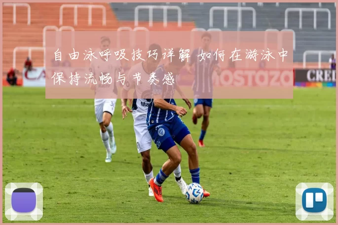 自由泳呼吸技巧详解 如何在游泳中保持流畅与节奏感