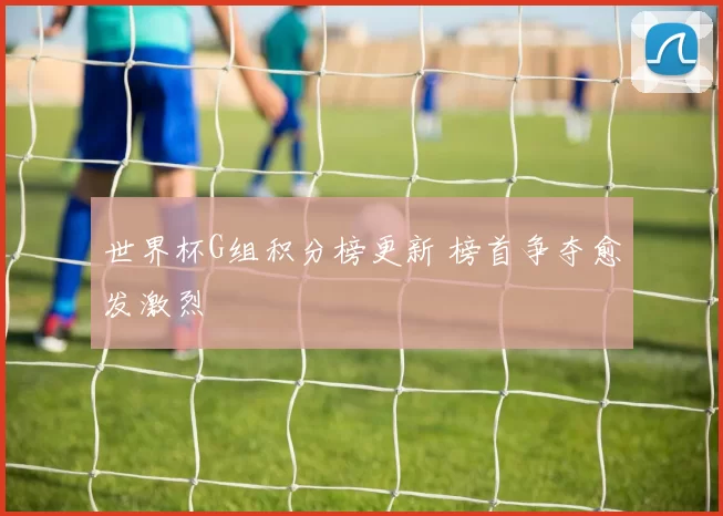 世界杯G组积分榜更新 榜首争夺愈发激烈