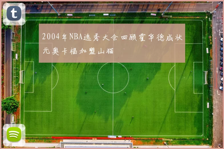 2004年NBA选秀大会回顾霍华德成状元奥卡福加盟山猫
