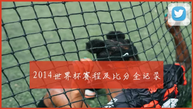 2014世界杯赛程及比分全记录