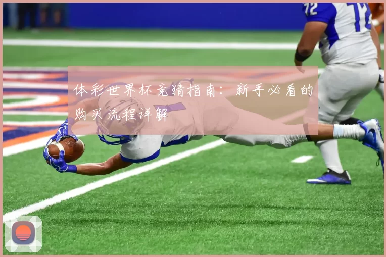 体彩世界杯竞猜指南:新手必看的购买流程详解