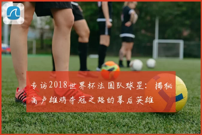专访2018世界杯法国队球星：揭秘高卢雄鸡夺冠之路的幕后英雄
