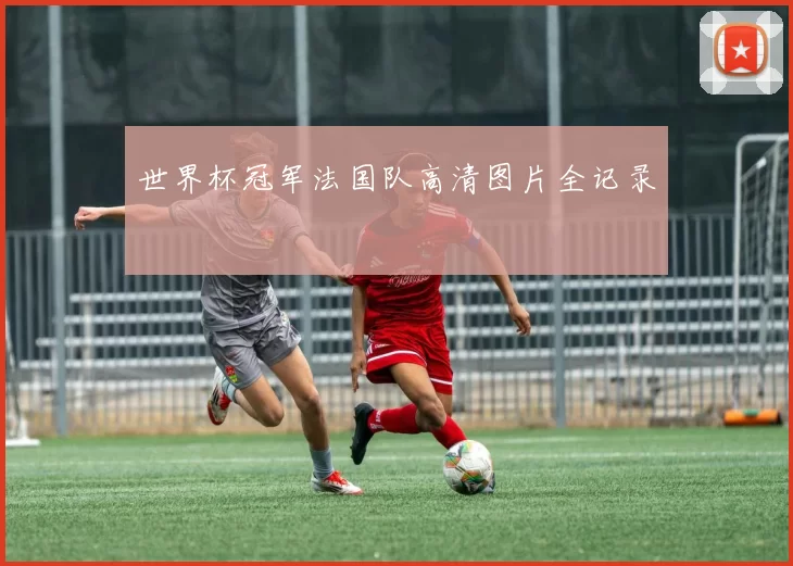 世界杯冠军法国队高清图片全记录