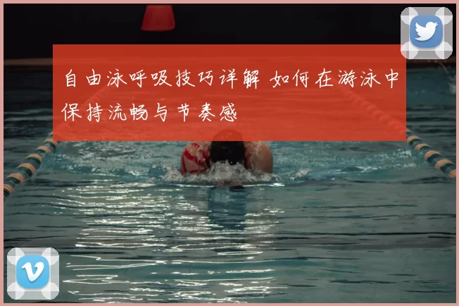自由泳呼吸技巧详解 如何在游泳中保持流畅与节奏感