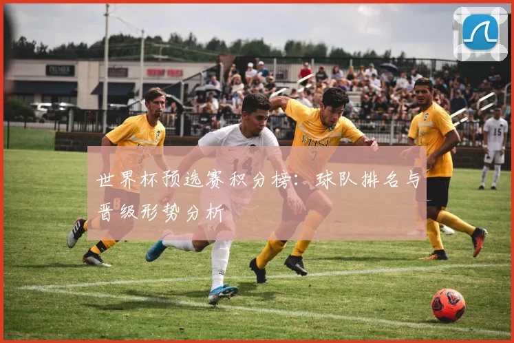世界杯预选赛积分榜:球队排名与晋级形势分析